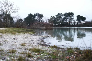 Etang de Paloumey   Bord de l'eau (3).